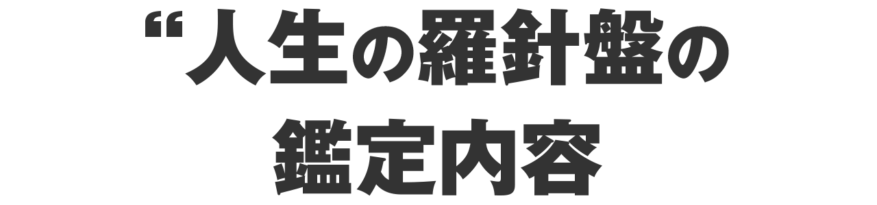 人生の羅針盤の鑑定内容